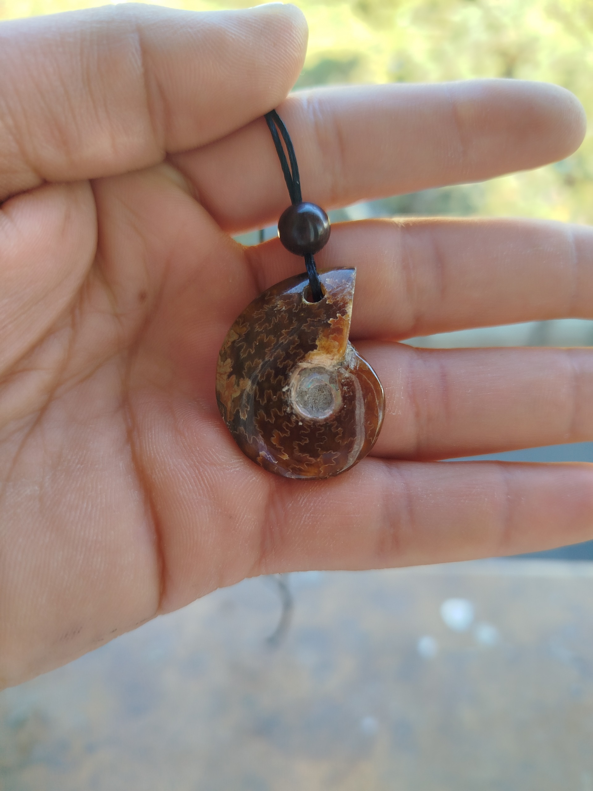 گردنبند فسیل آمونیت