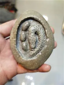 مار