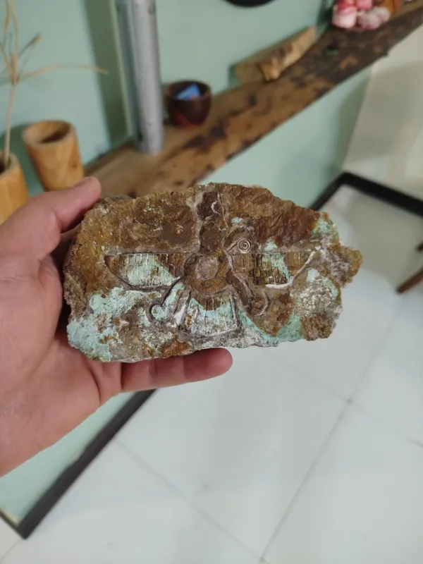 فروهر بروی سنگ فیروزه