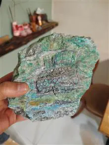 چهره