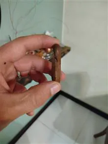 بی