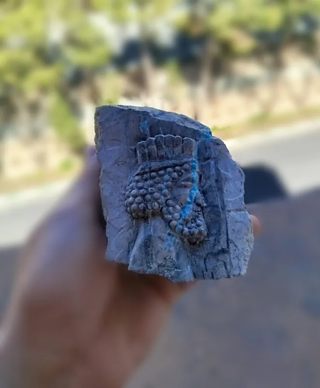 چهره باستانی بروی سنگ فیروزه