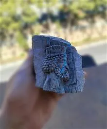 چهره