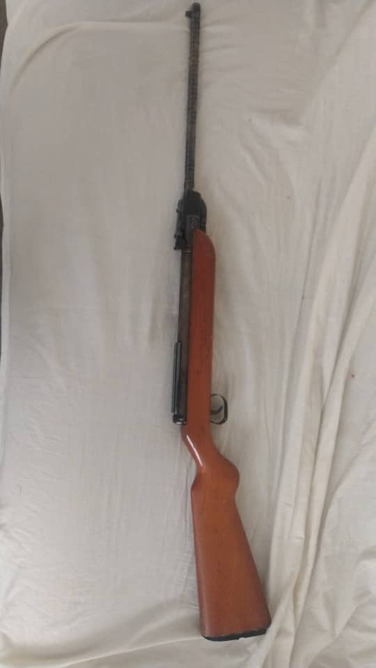 تفنگ بادی ویشو 55