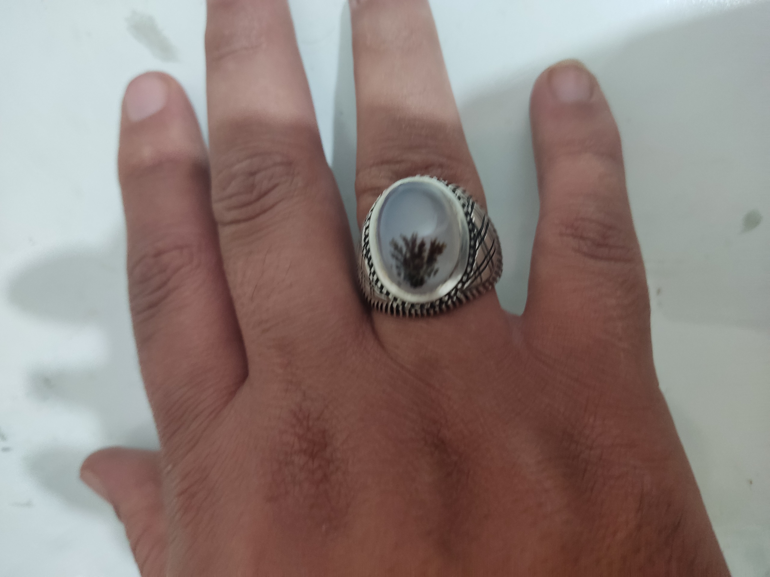 انگشتر شجر قاین