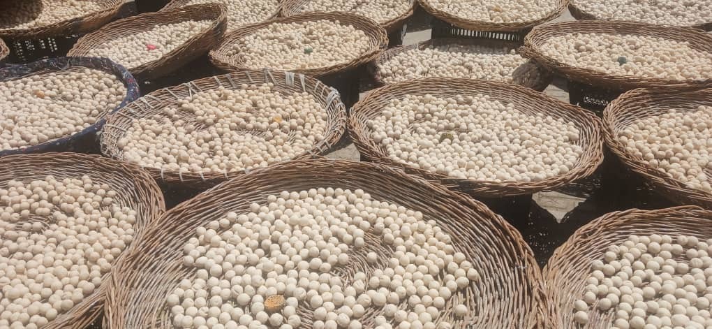 کشک خالص گوسفندی