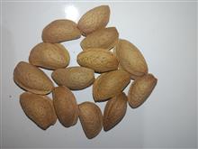 بادام