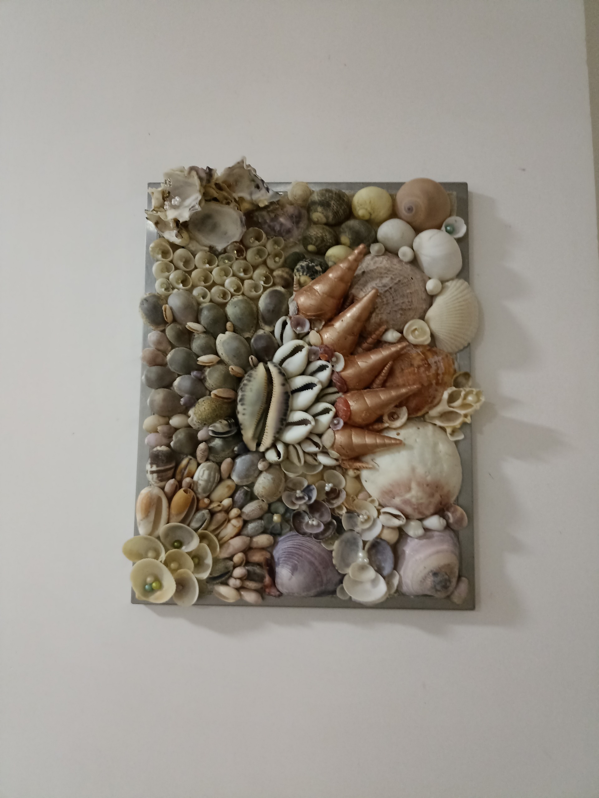 تابلو صدفی طبیعی