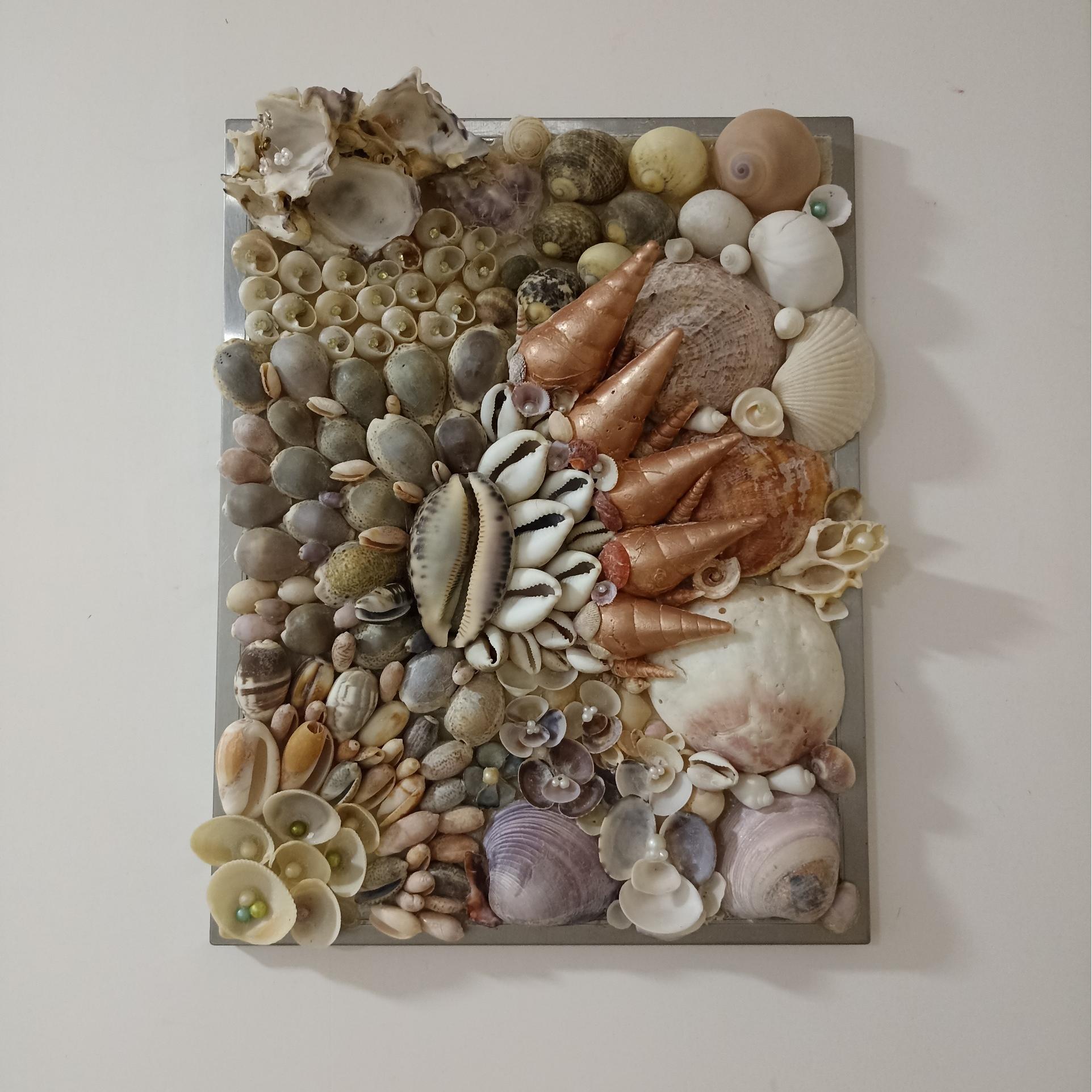 تابلو صدف طبیعی