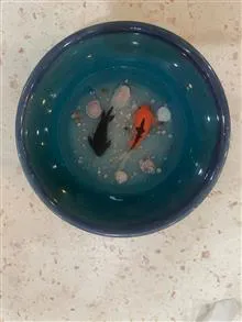 تنگ