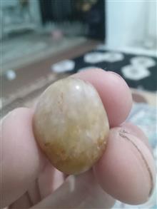 فسیل