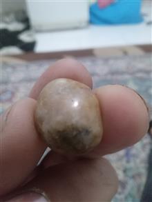 فسیل