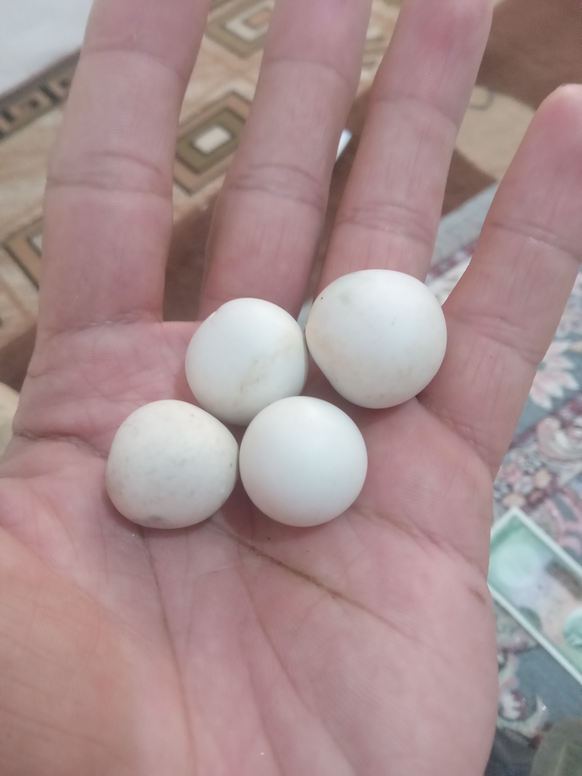 سنگ الماس آسیاب