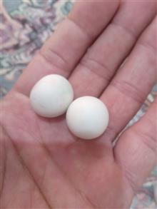 سنگ