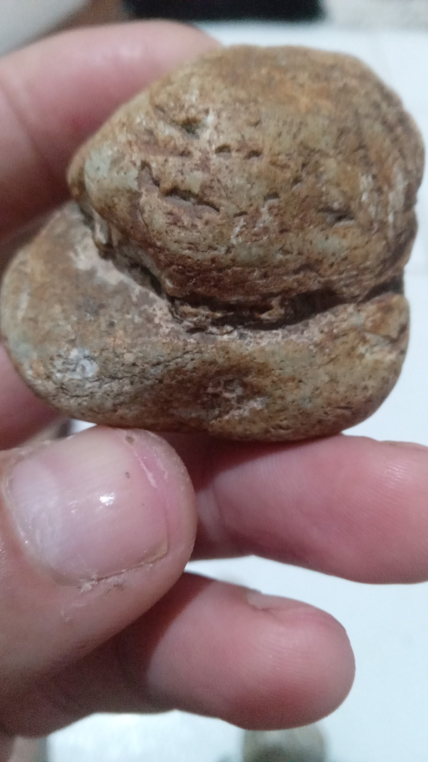 شهاب سنگ کوارتز