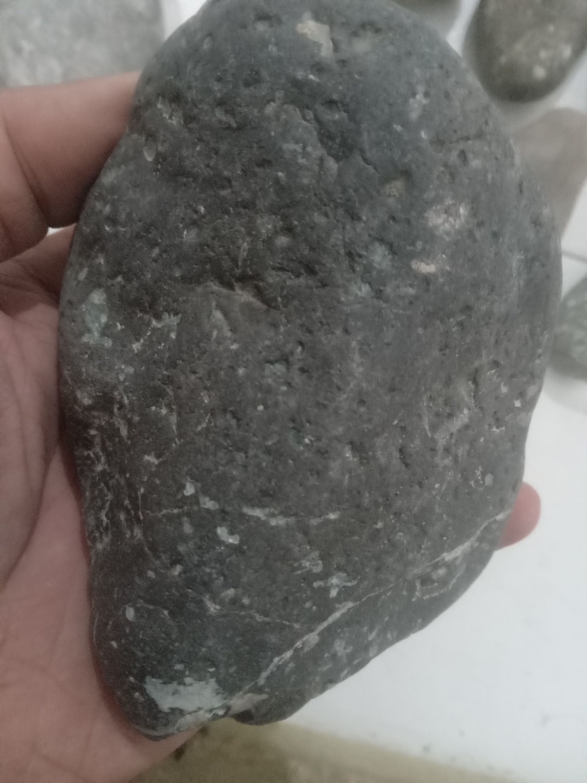 شهاب سنگ خاکستری