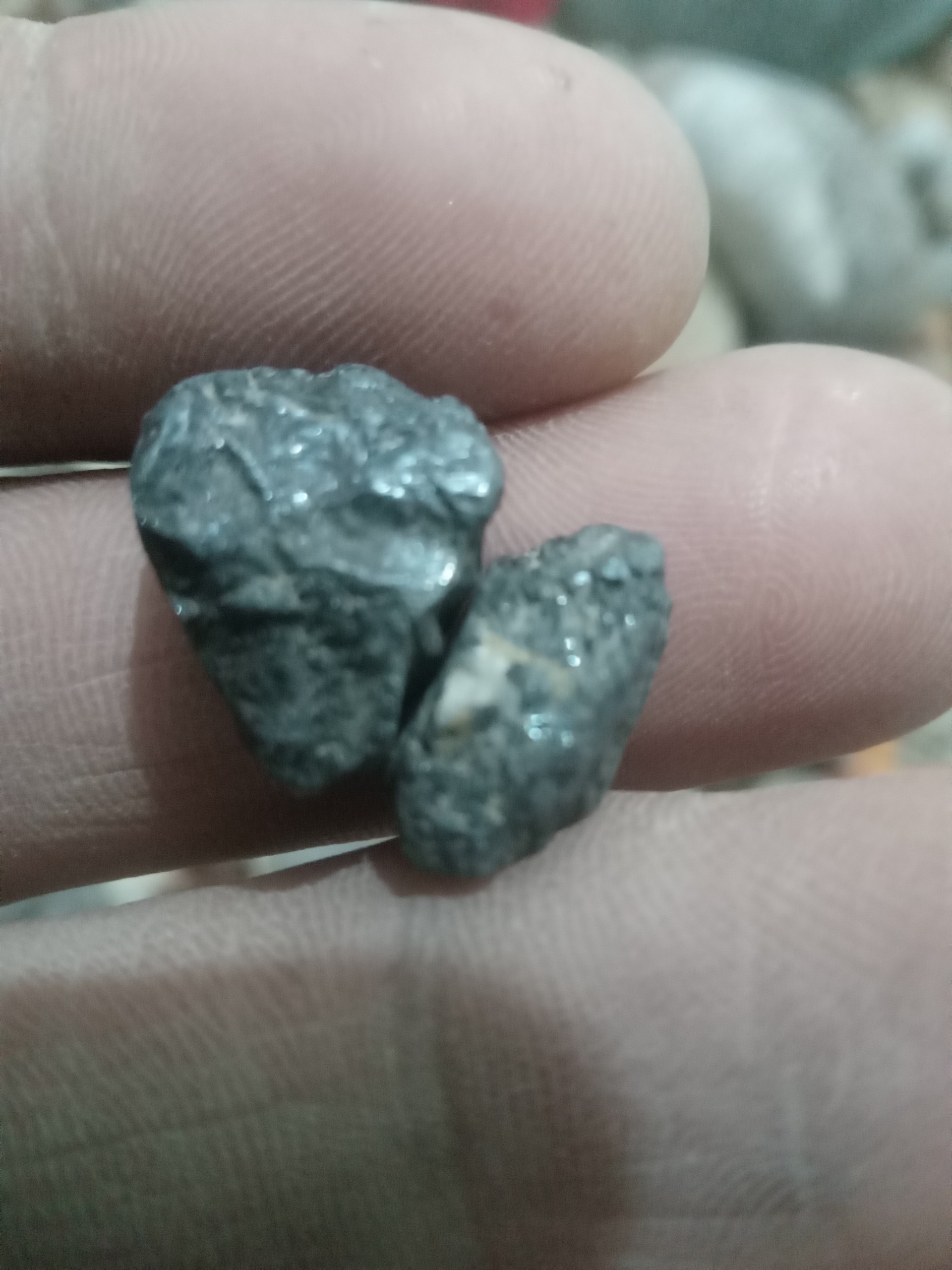 دو قطعه شهاب سنگی آهنی