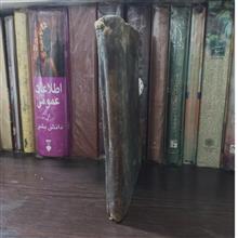 جامع