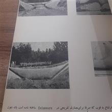 نشریه