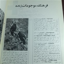 مجله