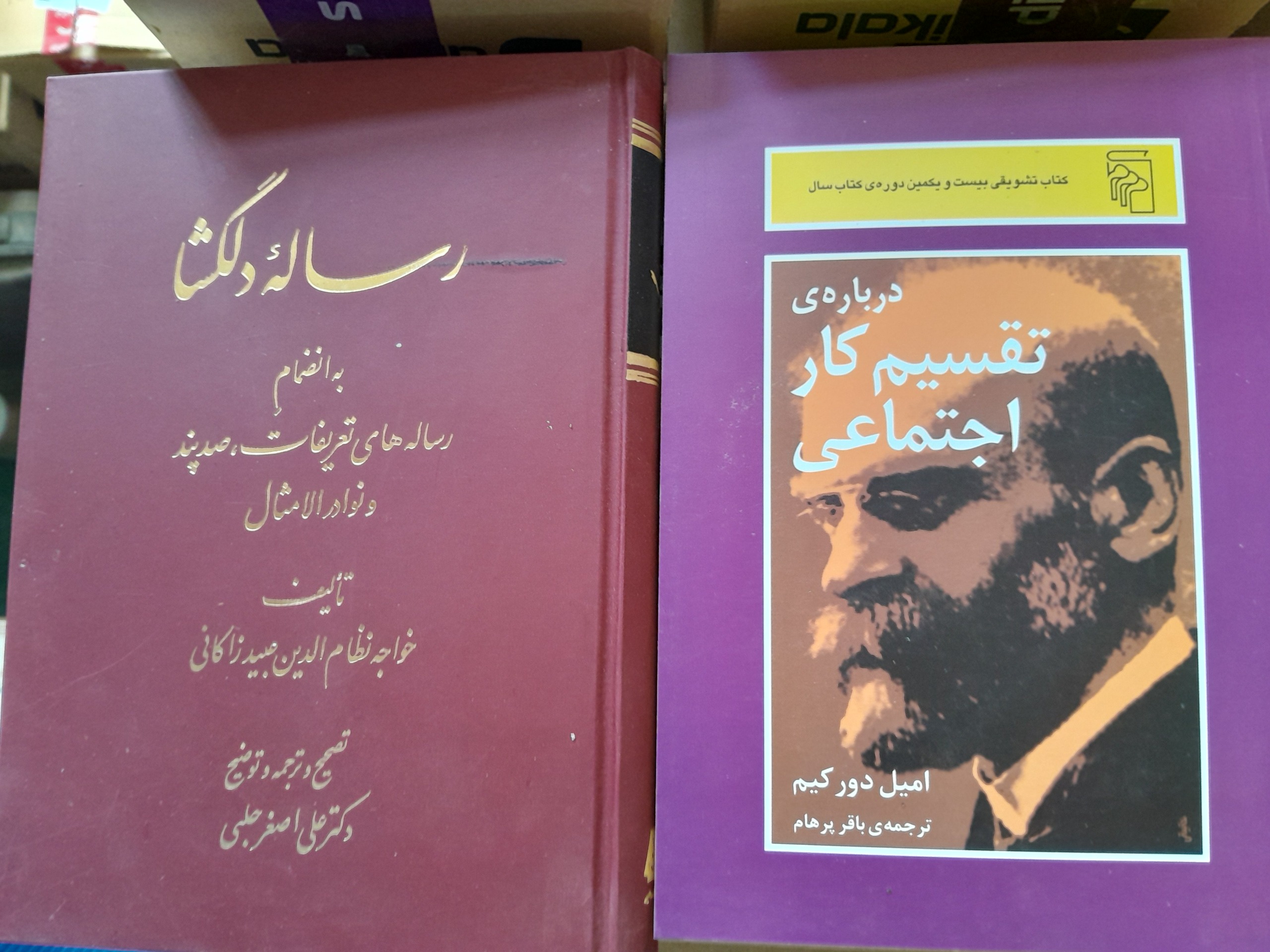 رساله دلگشا و تقسیم کار اجتماعی