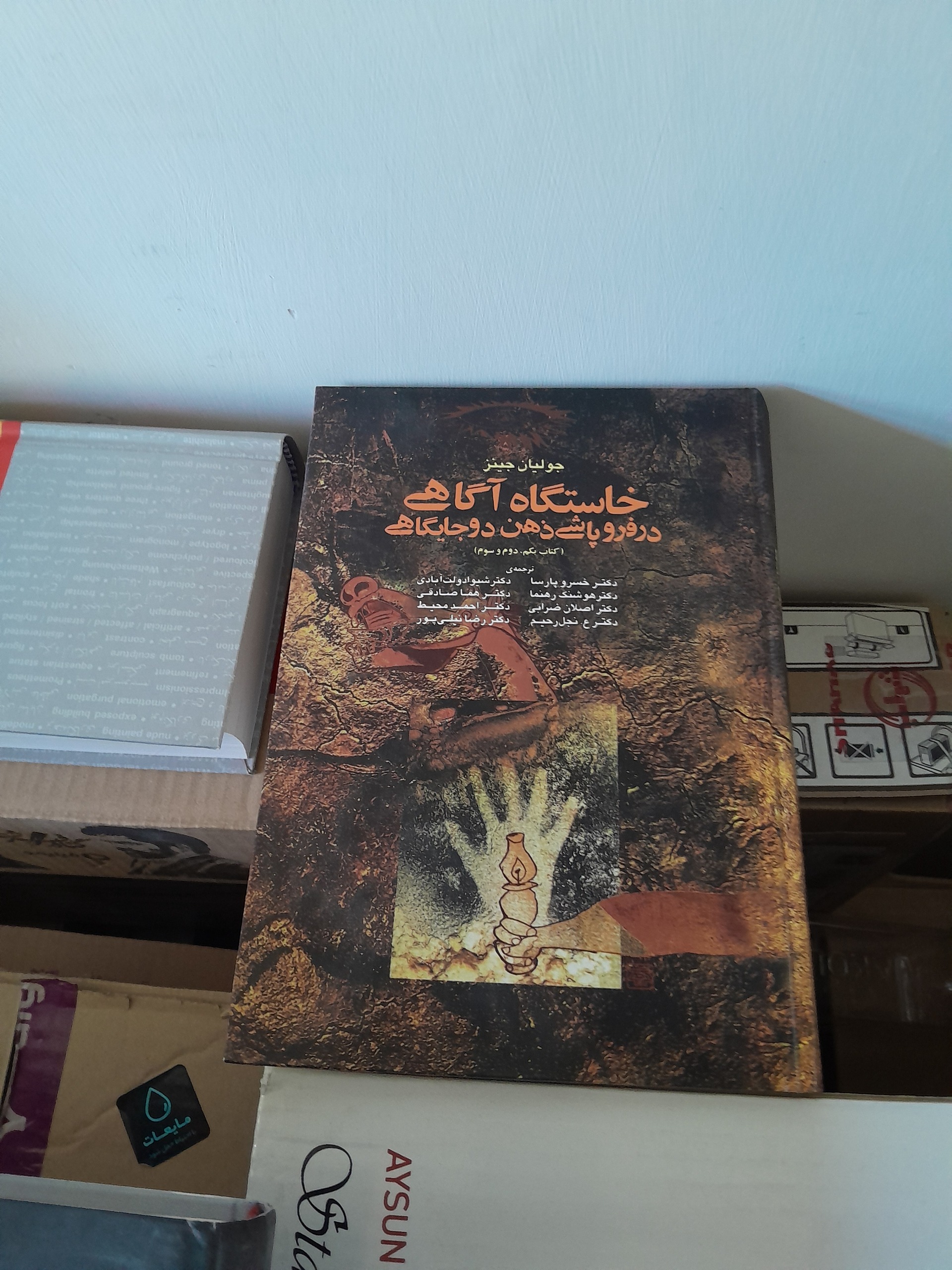 کتاب خاستگاه آگاهی