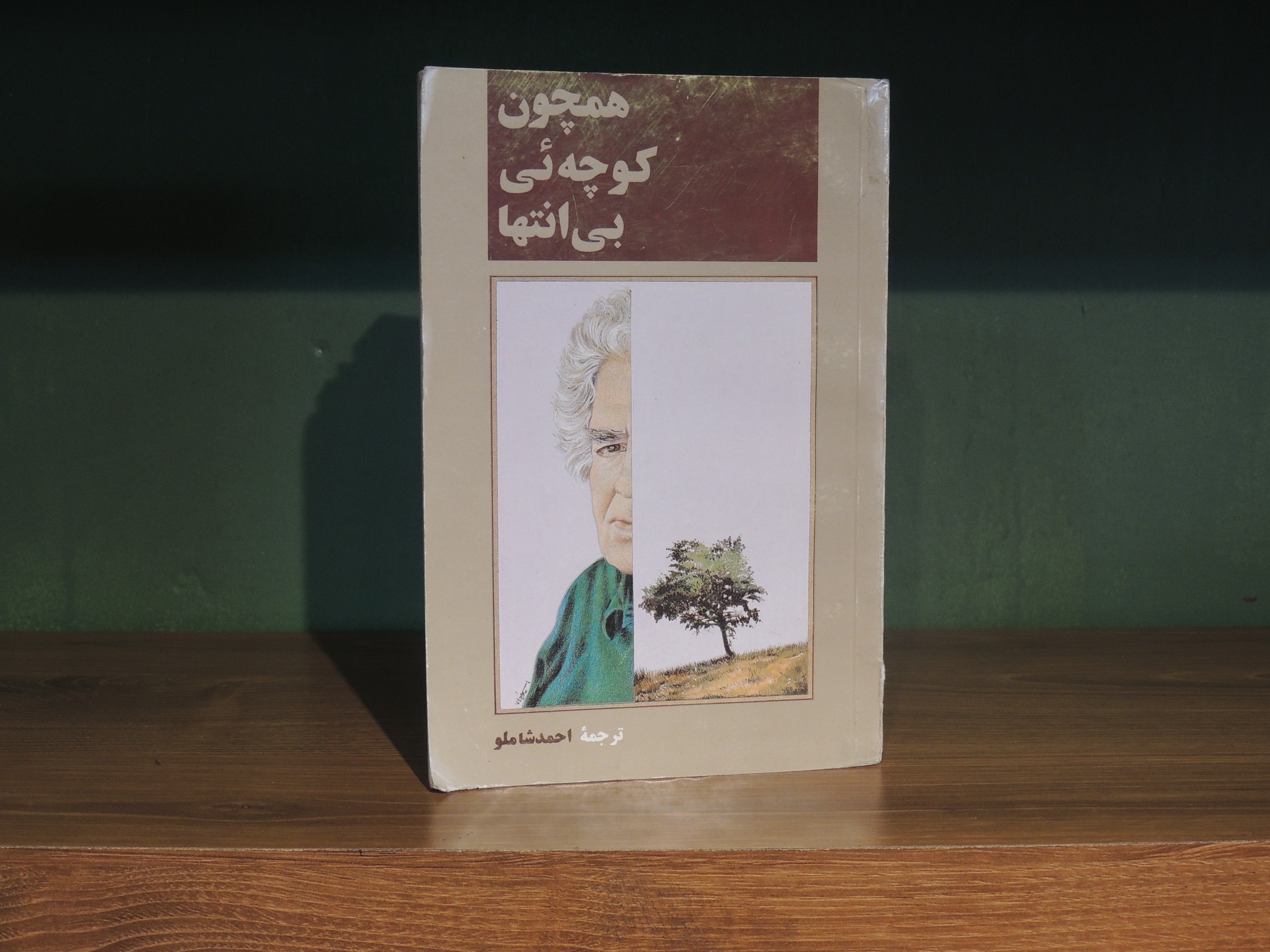 همچون کوچه ای بی انتها