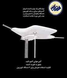 محافظ