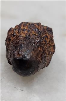 مهره
