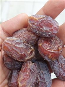 خرمای
