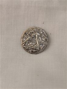 سکه