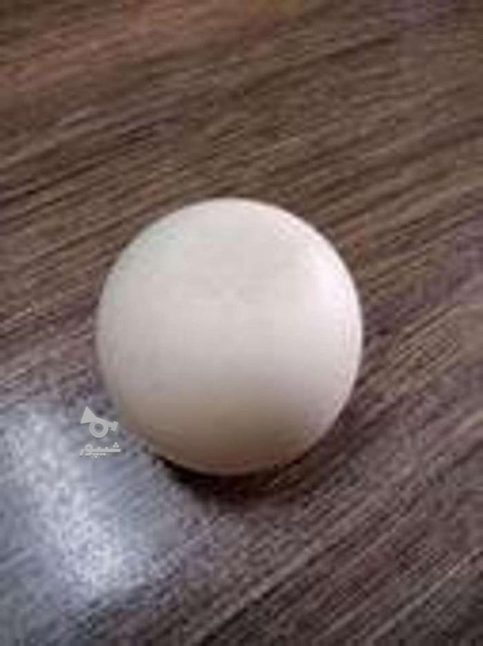 سنگ آسیاب الماسی