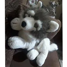 سگ