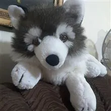سگ