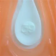 کفش