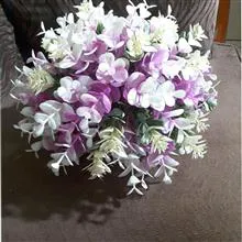 گلدان