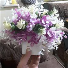 گلدان