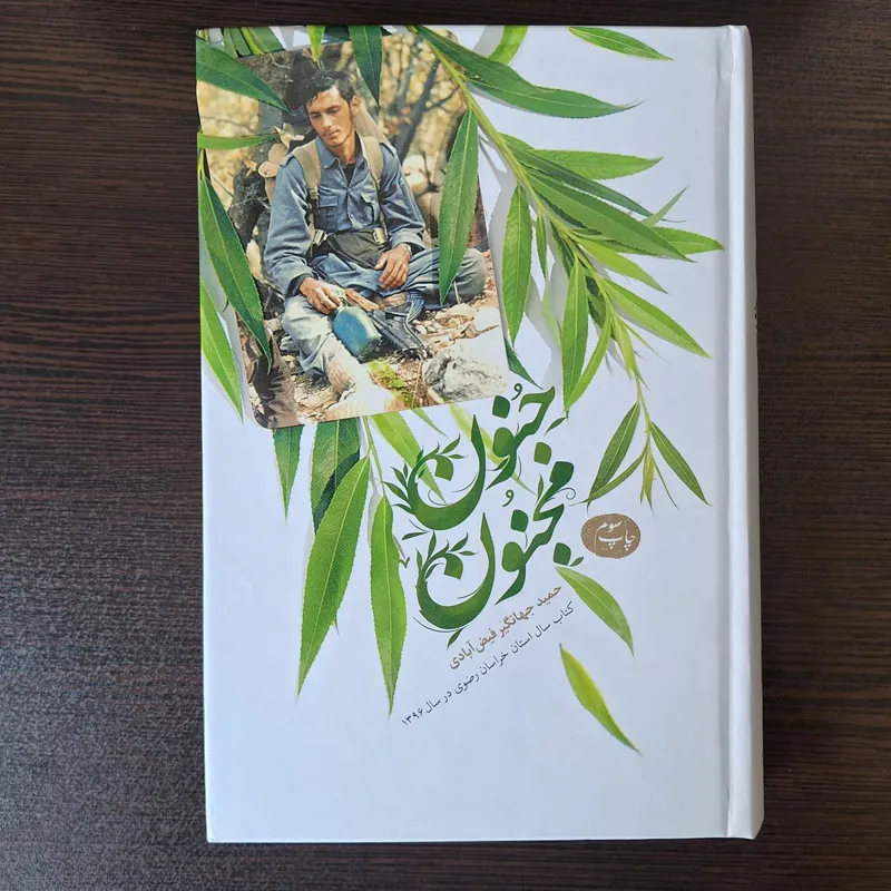 کتاب جنون مجنون حمید جنانگیر فیض آبادی