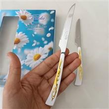 چاقو