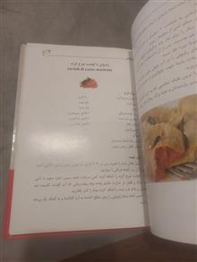 آشپزی