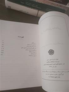 امیر