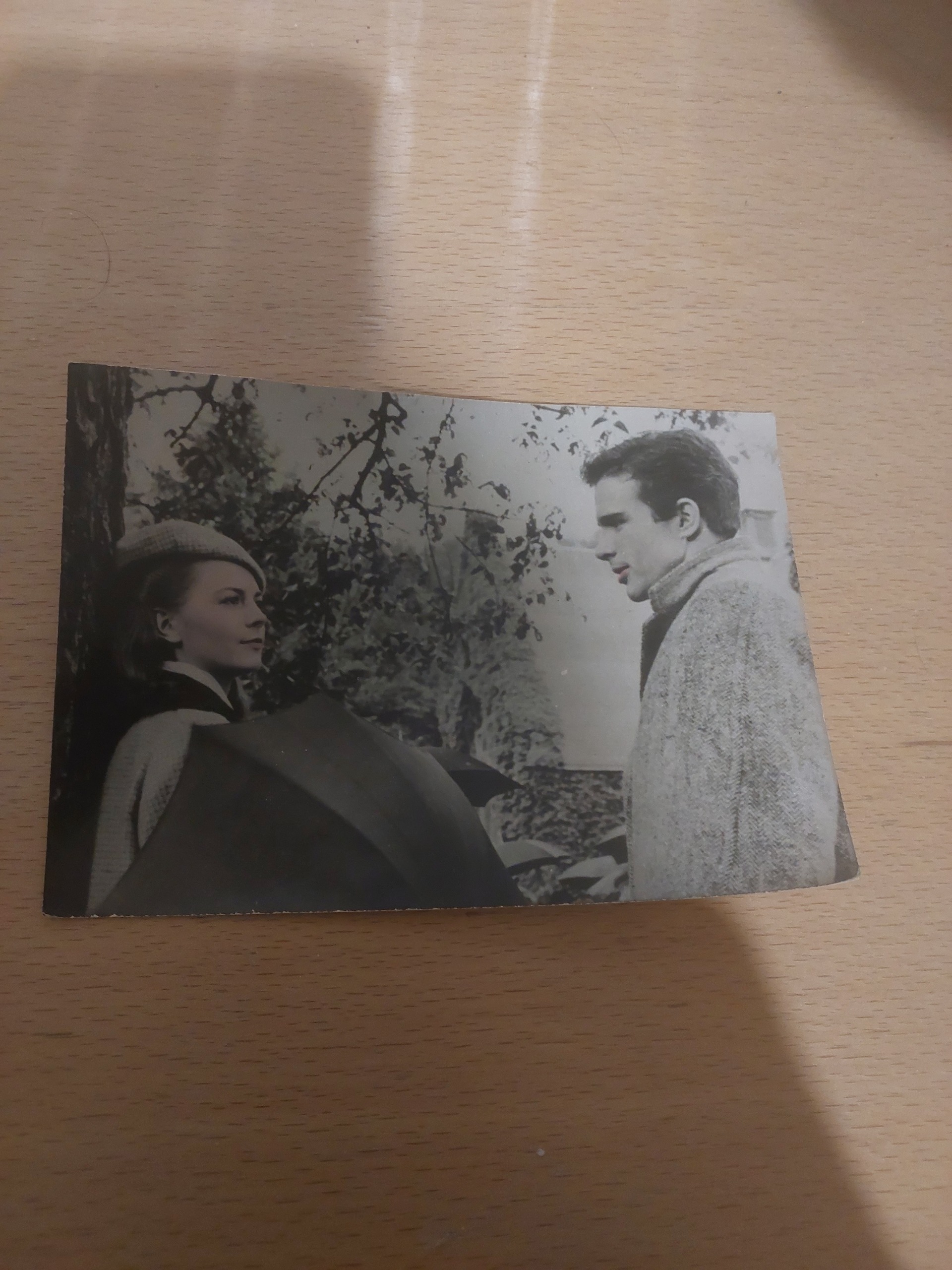 عکس فیلم شکوه علفزار _ ناتالی وود و وارن بیتی