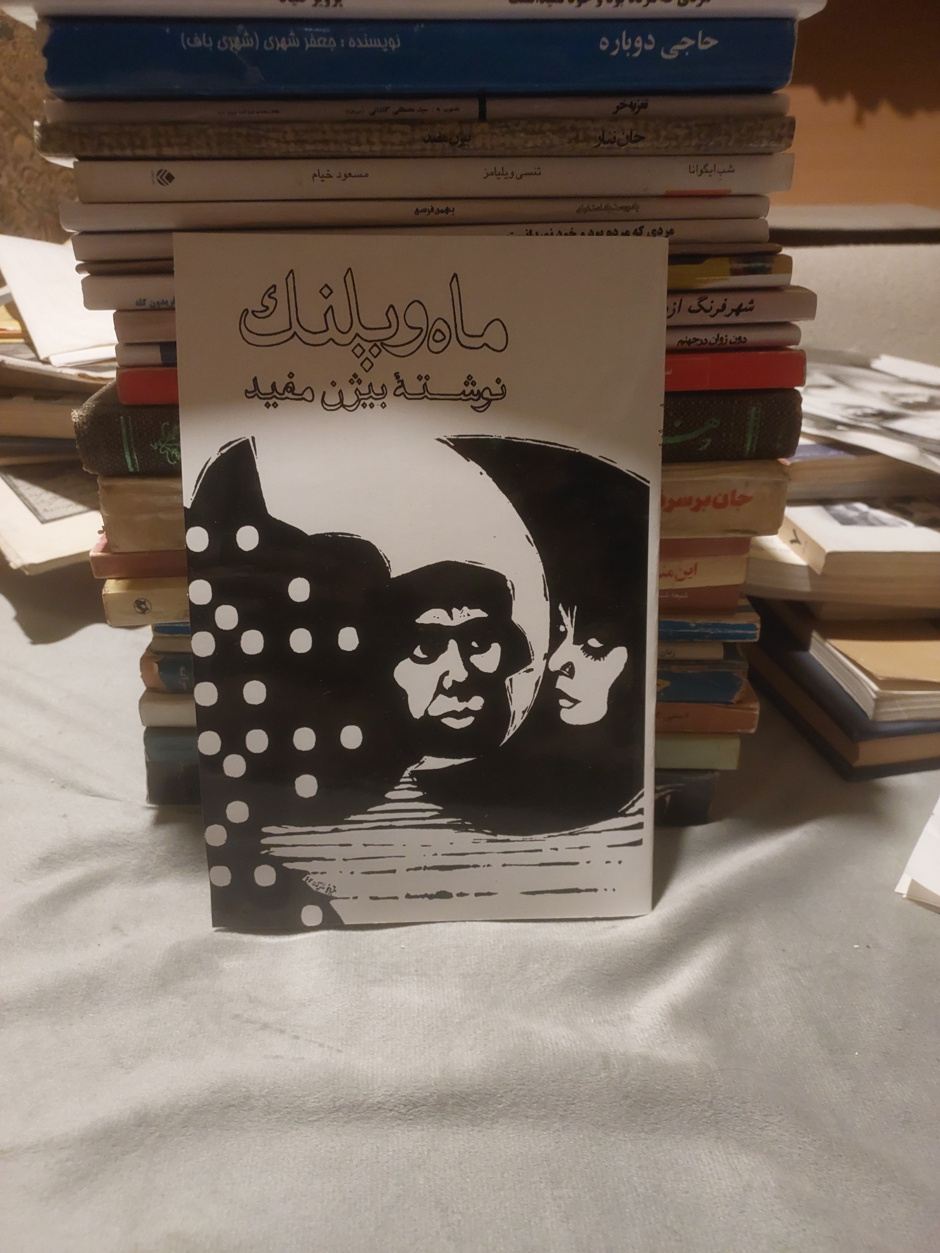 ماه و پلنگ_بیژن مفید