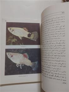 آکواریوم