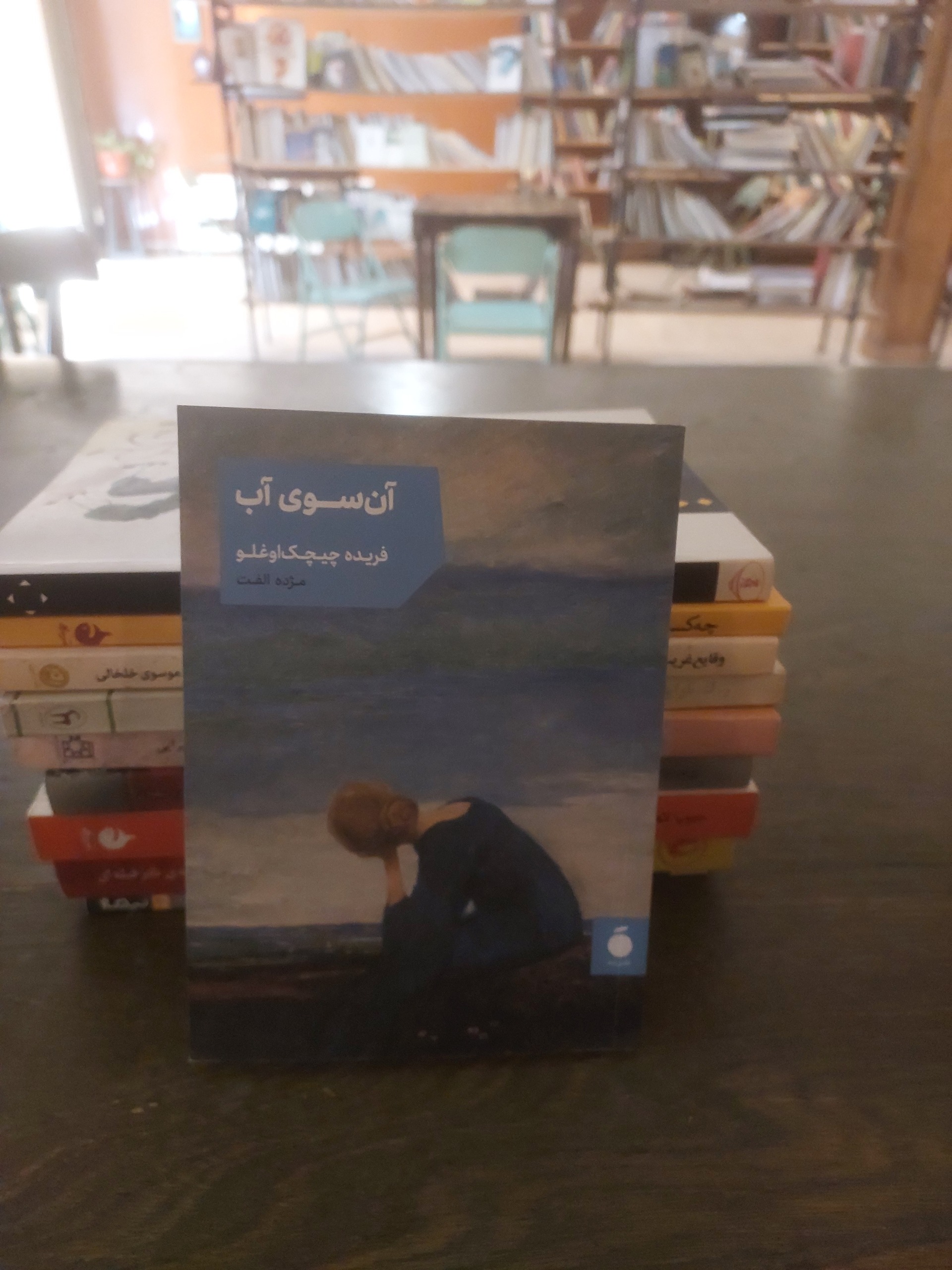 آن سوی آب_فریده چیچک اوغلو