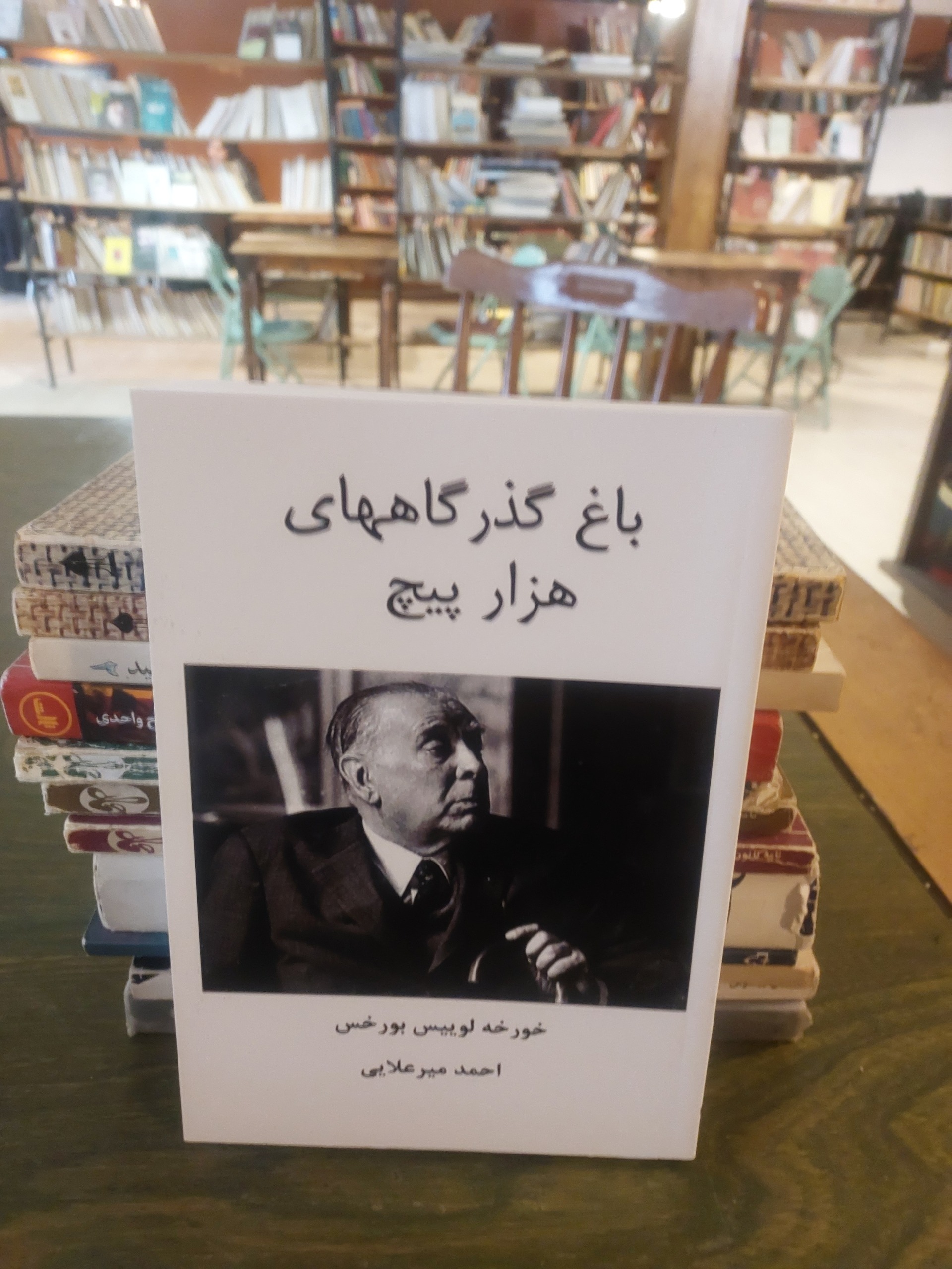 باغ گذرگاهای هزارپیچ_خورخه لوییس بورخس