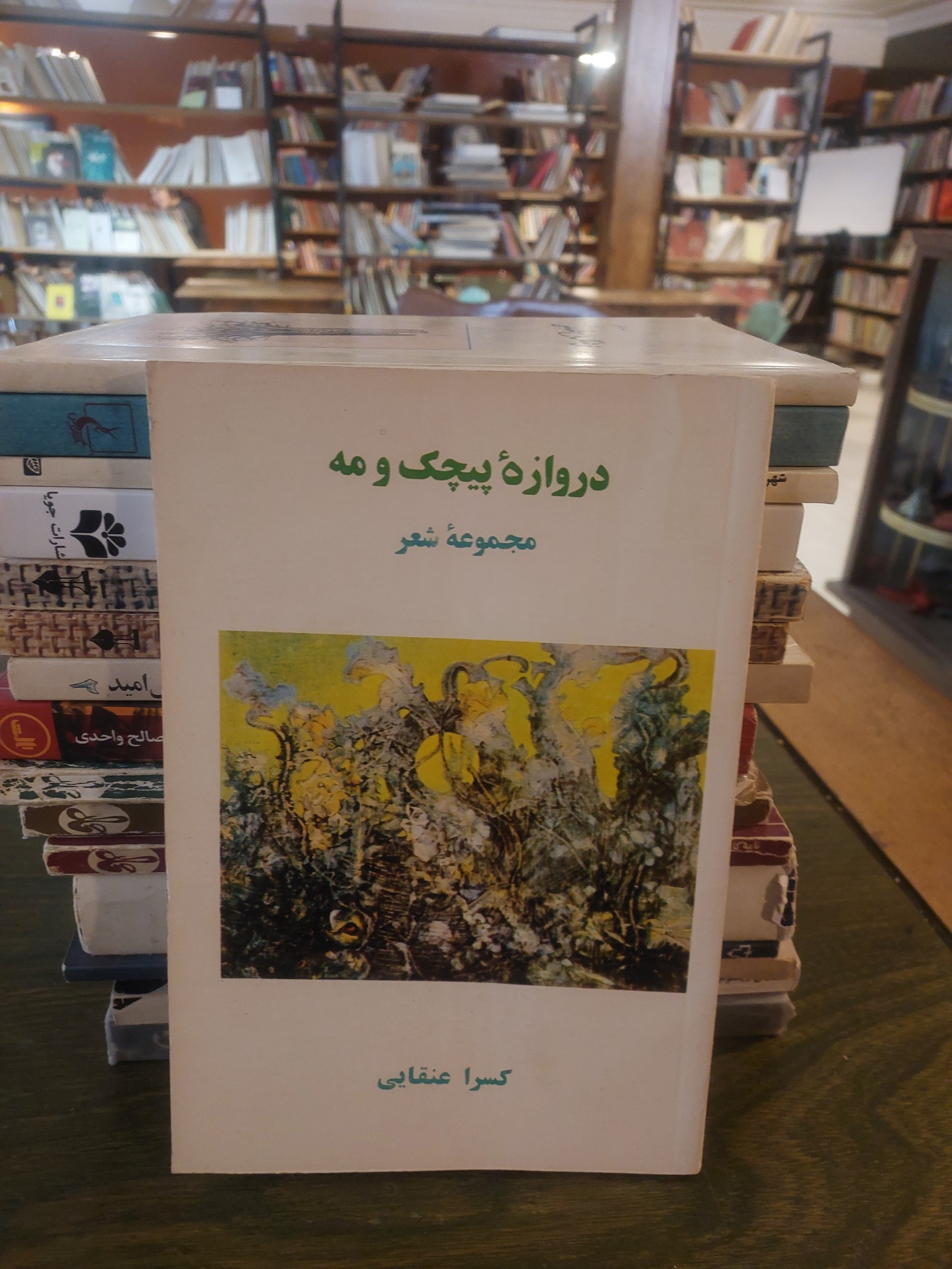 دروازه پیچک و مه_کسرا عنقایی_شعر