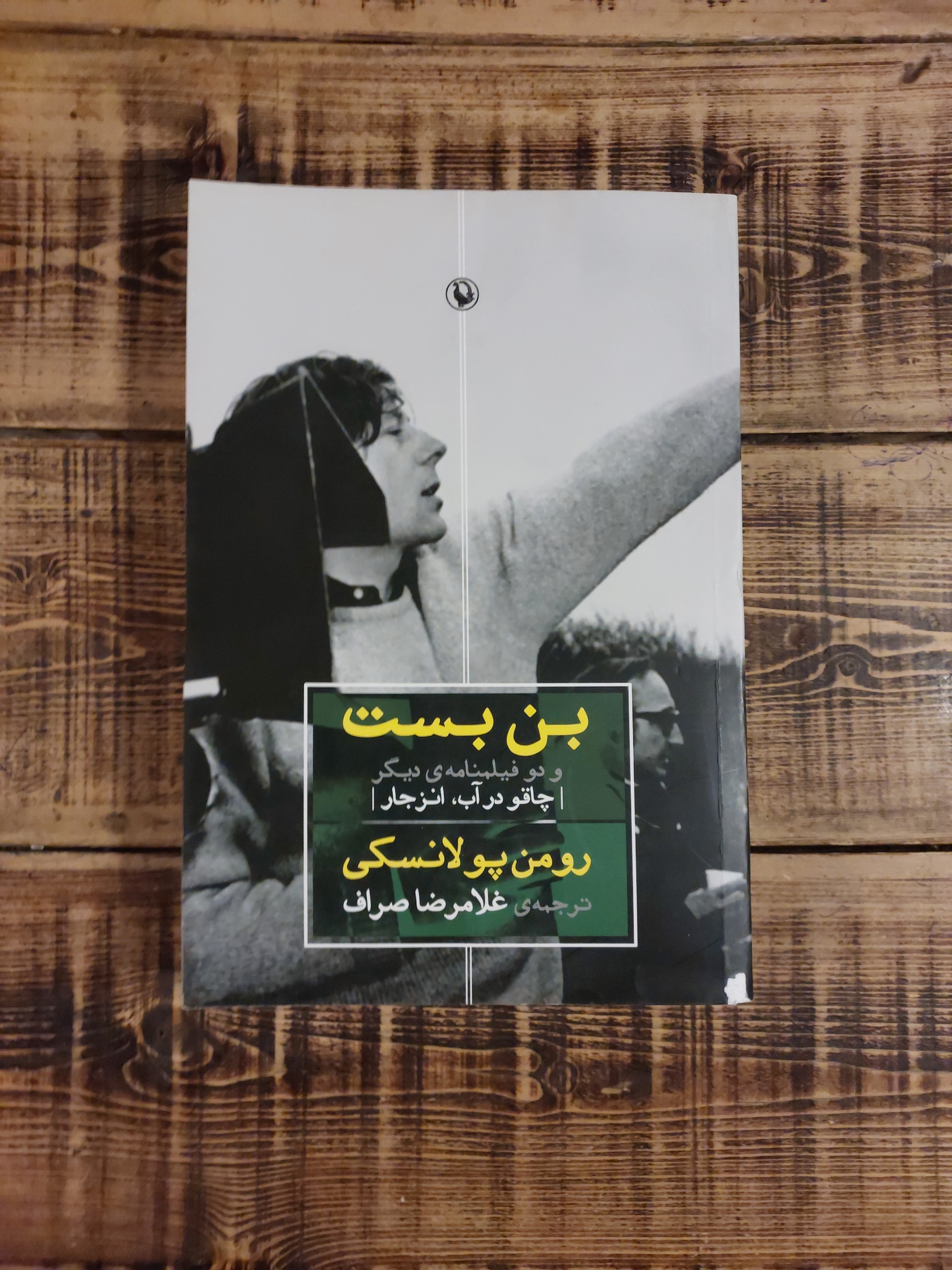 بن بست و دو فیلمنامه دیگر_رومن پولانسکی