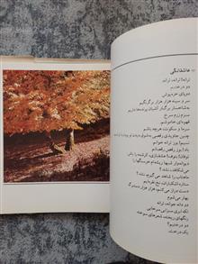 بیست