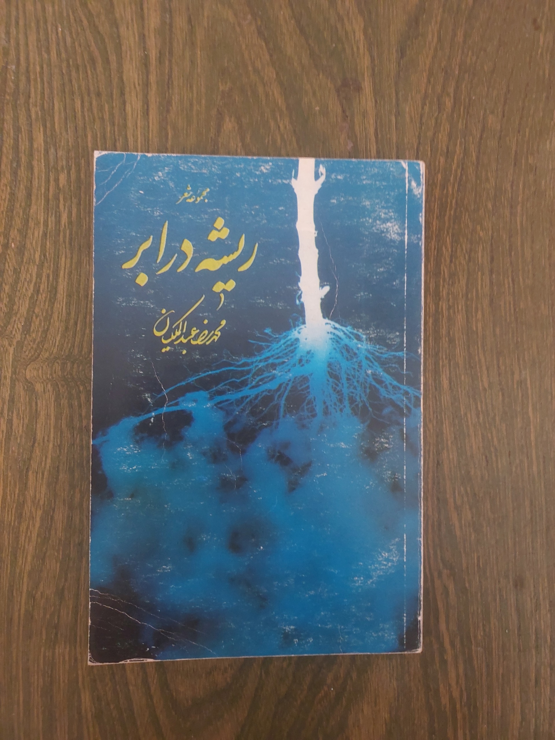 ریشه در ابر_محمدرضا عبدالمالکیان_مجموعه شعر